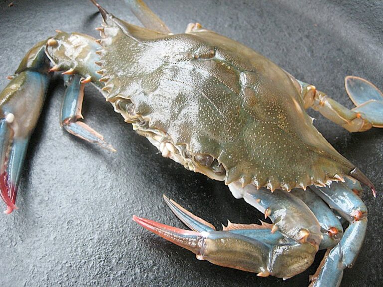 Crab Dinner this Friday 10/10 6pm